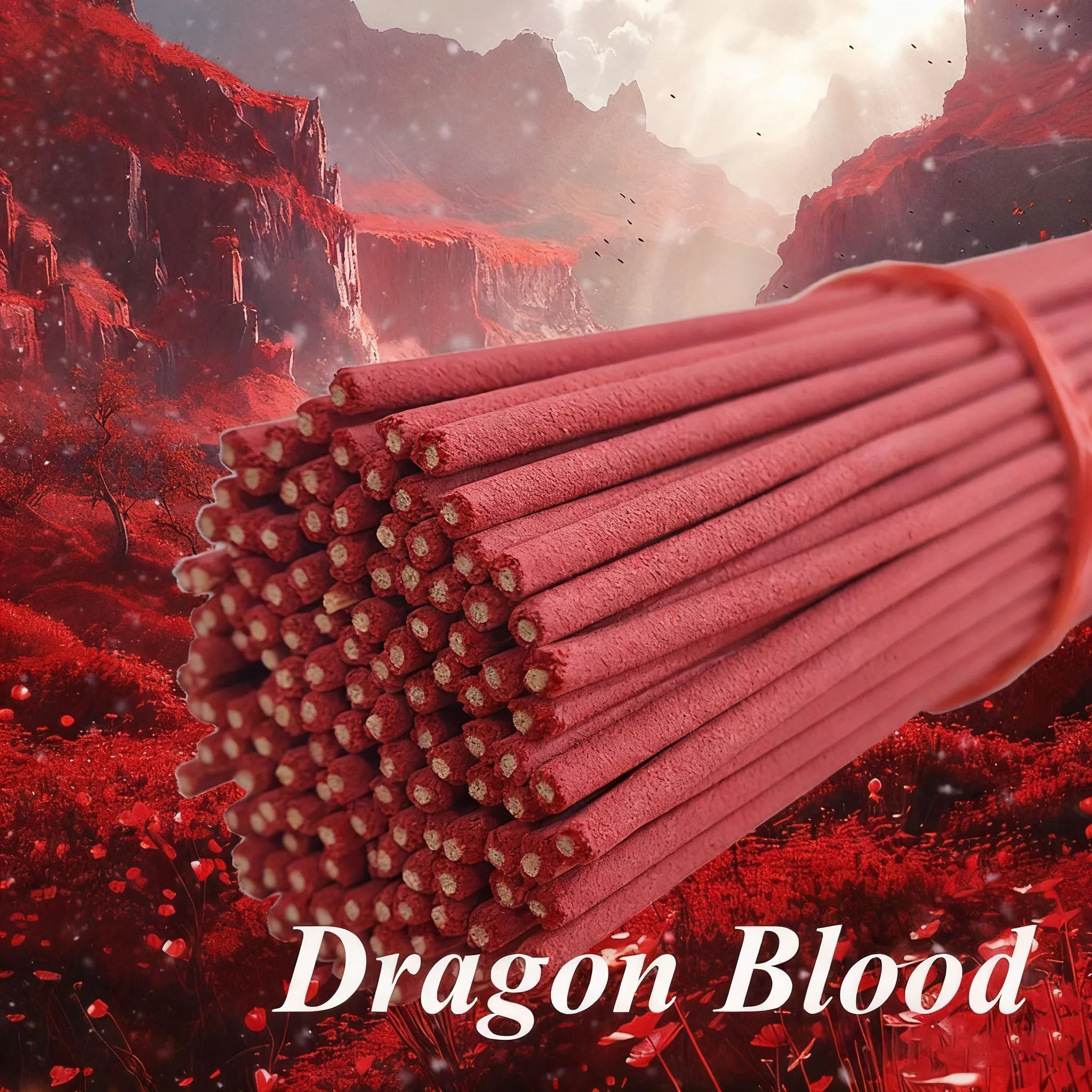 Dragon's Blood Ritual Incense Sticks