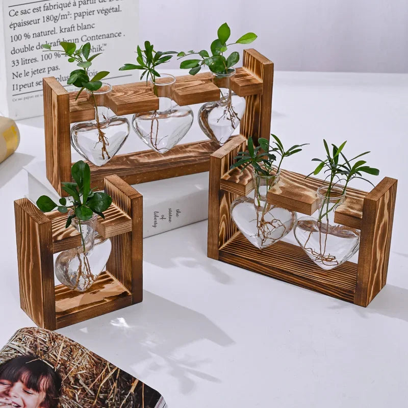 Hydroponic Glass Vase – Transparent Desktop Flower Arrangement