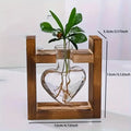 Hydroponic Glass Vase – Transparent Desktop Flower Arrangement