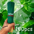 Fresh Mint Aromatherapy Incense Sticks