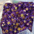 Natural Dried Lotus Blossoms — Sun Dry & Freeze Dry | Ritual, DIY & Home Decor | Your Ritual Hub