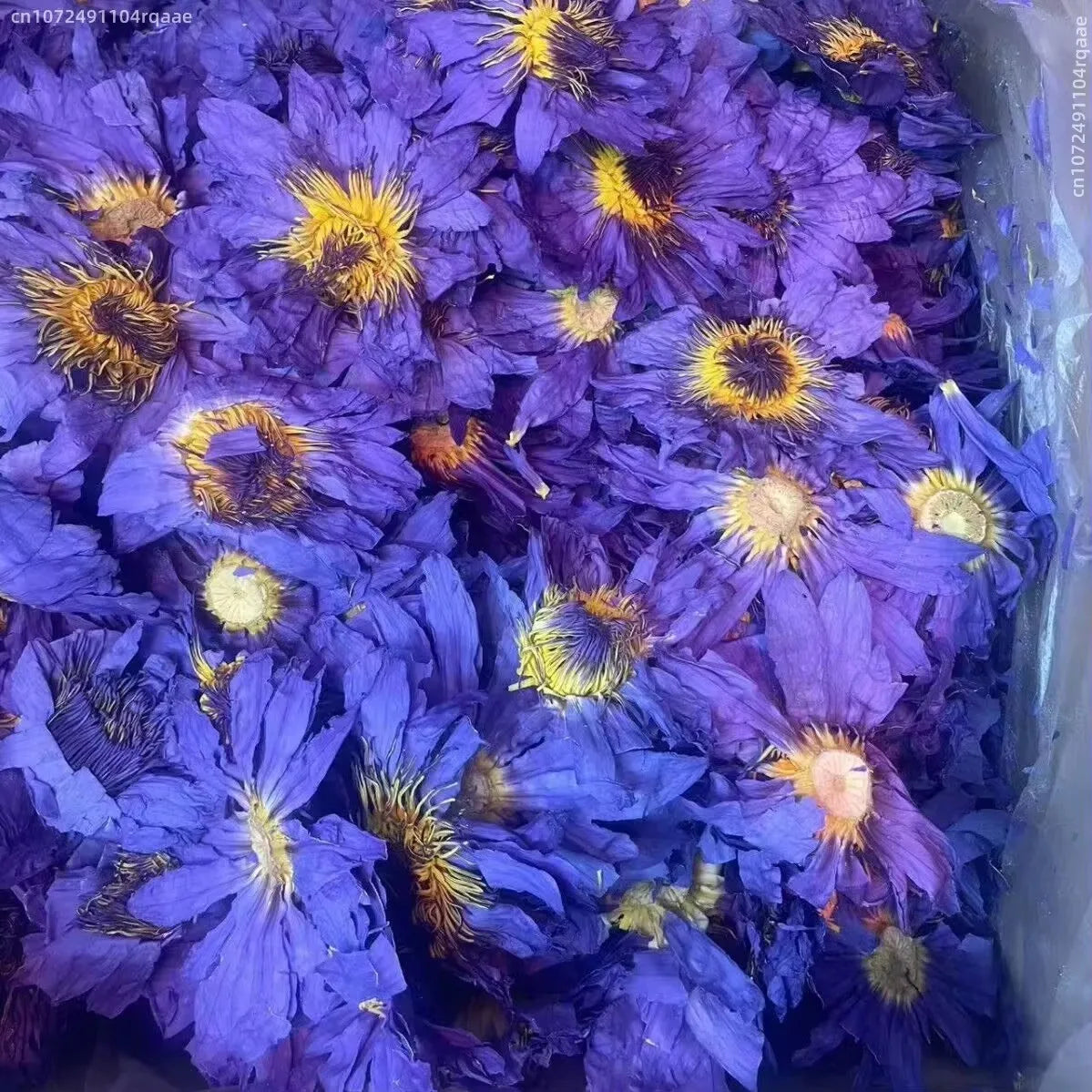 Natural Dried Lotus Blossoms — Sun Dry & Freeze Dry | Ritual, DIY & Home Decor | Your Ritual Hub