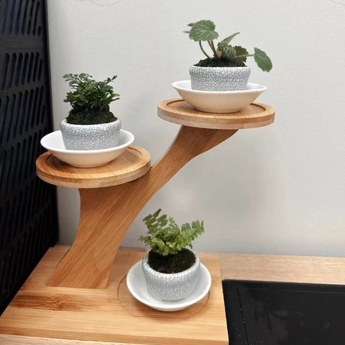 2-Tier Bamboo Plant Stand, 3-Pot Wooden Flower Shelf & Display Rack for Altar Decor, Succulents & Indoor Herbs
