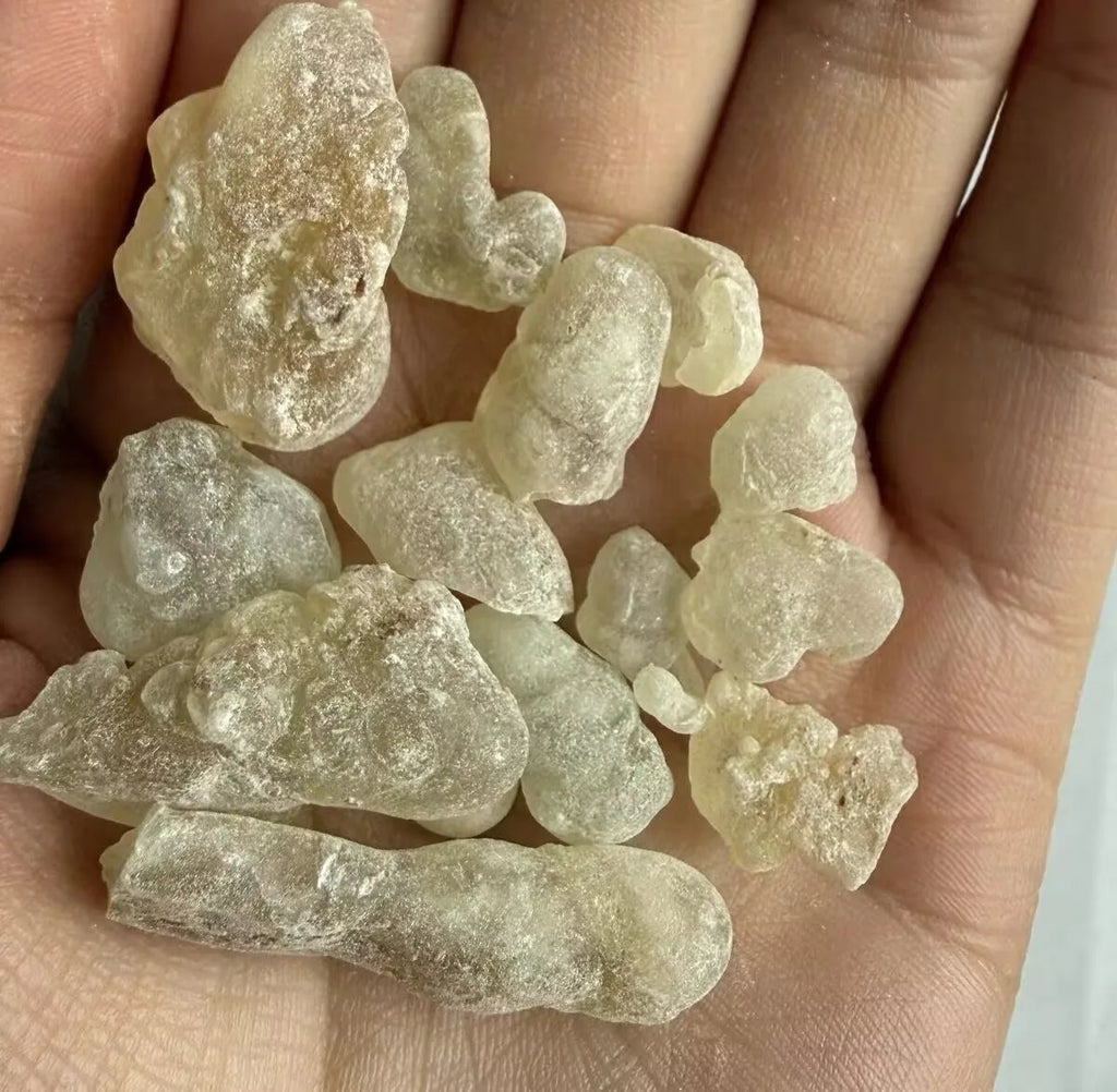 Natural Resin Incense Collection – 13 Varieties