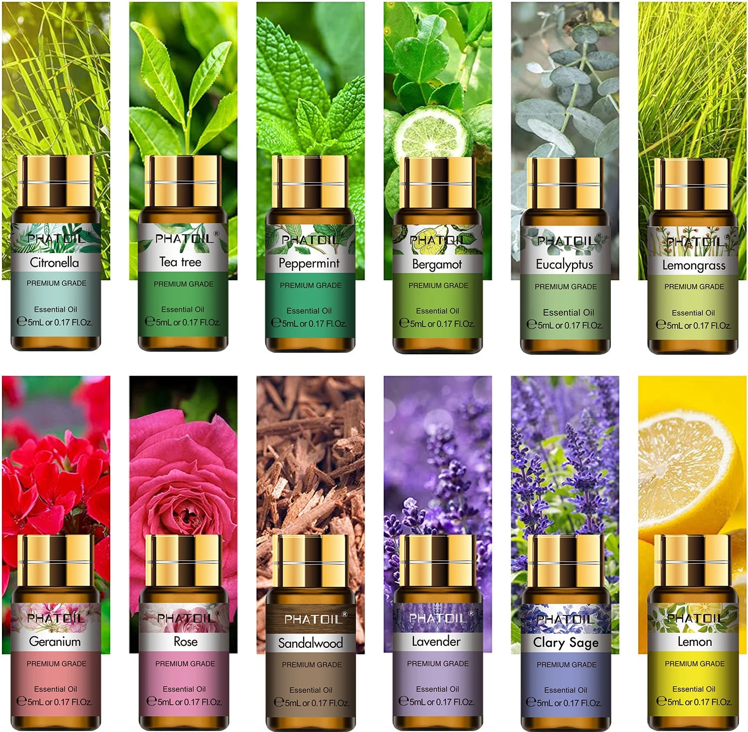 Pure Essential Oils Set – 12 Aromatherapy Oils for Diffuser, Candles & Rituals
