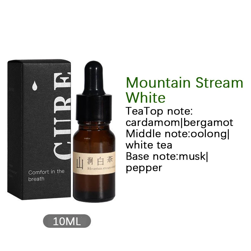 Natural Essential Oil Wood Stick Diffuser - Your Ritual Hub 