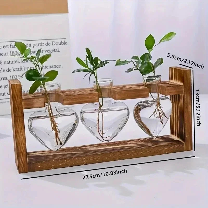 Hydroponic Glass Vase – Transparent Desktop Flower Arrangement