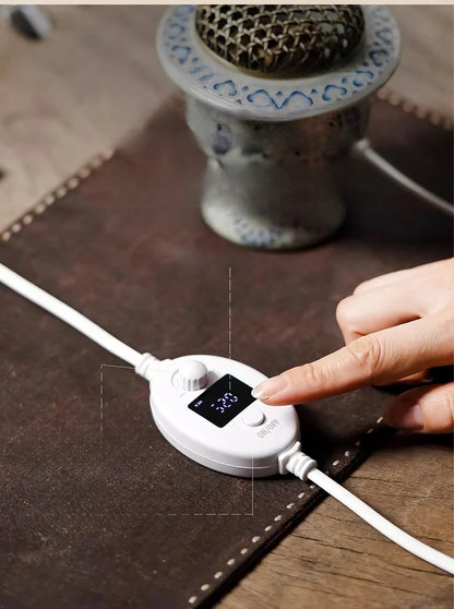 Electronic Aromatherapy Incense Burner
