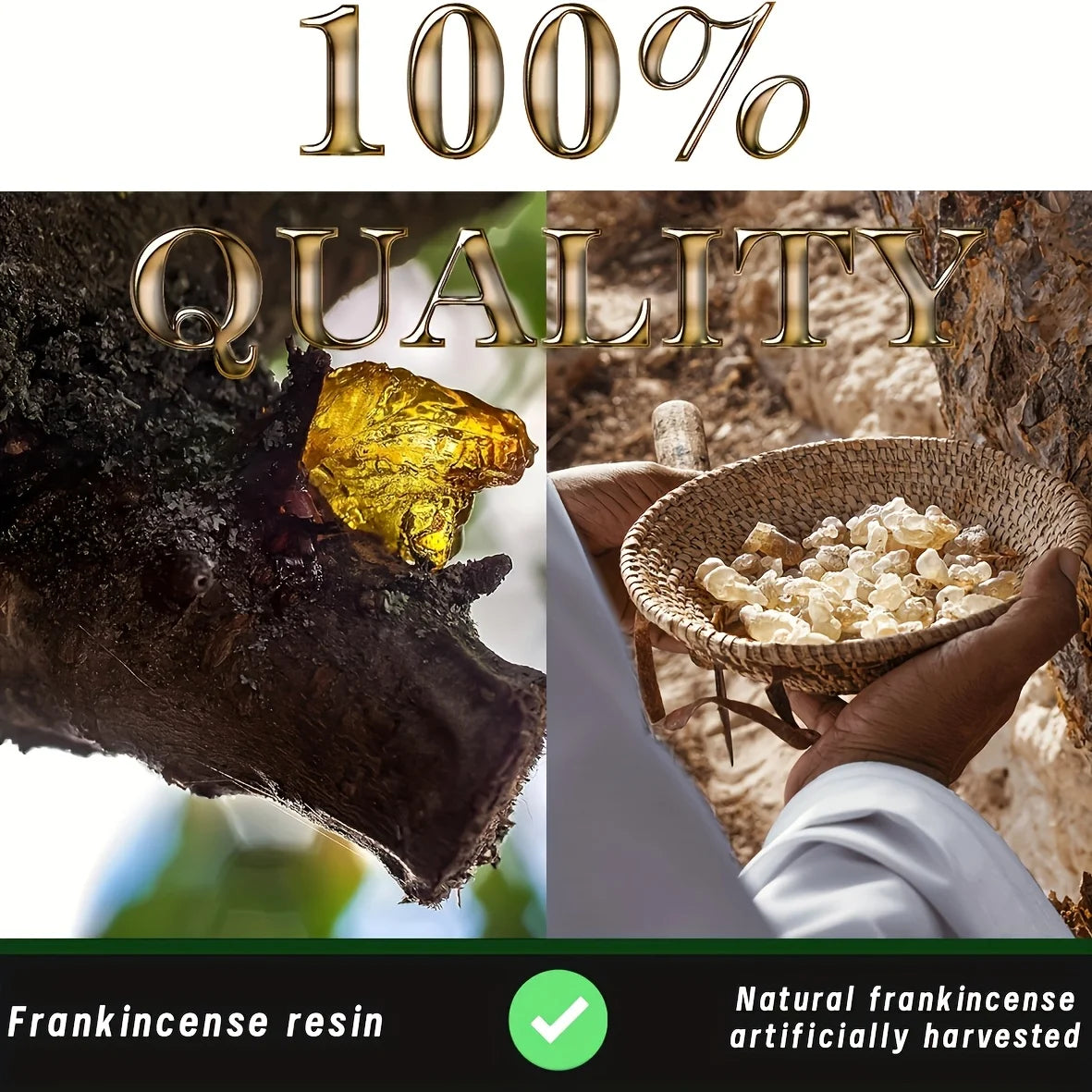 Pure Frankincense Resin 100g - Your Ritual Hub 