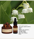 Natural Essential Oil Wood Stick Diffuser - Your Ritual Hub 