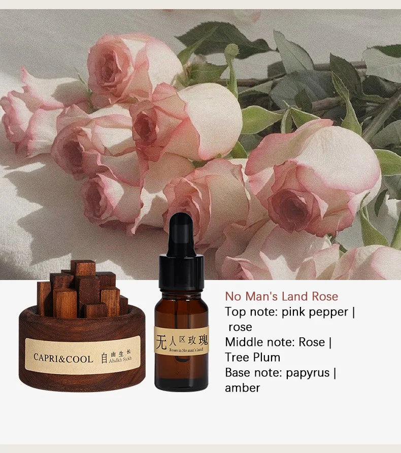 Natural Essential Oil Wood Stick Diffuser - Your Ritual Hub 