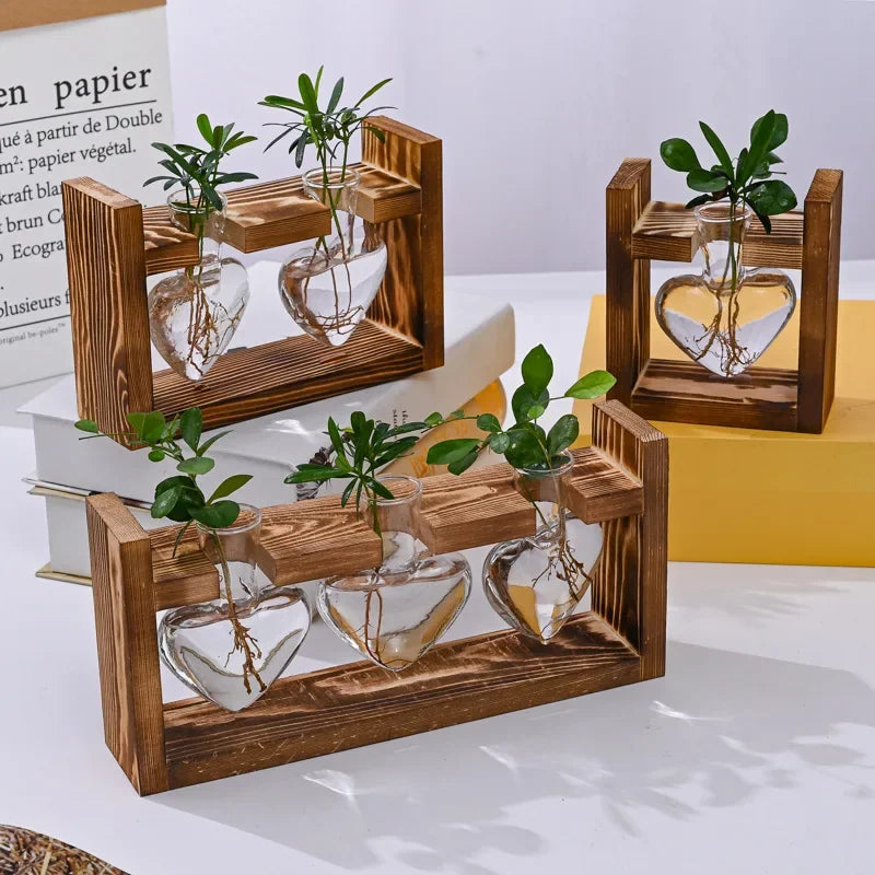 Hydroponic Glass Vase – Transparent Desktop Flower Arrangement