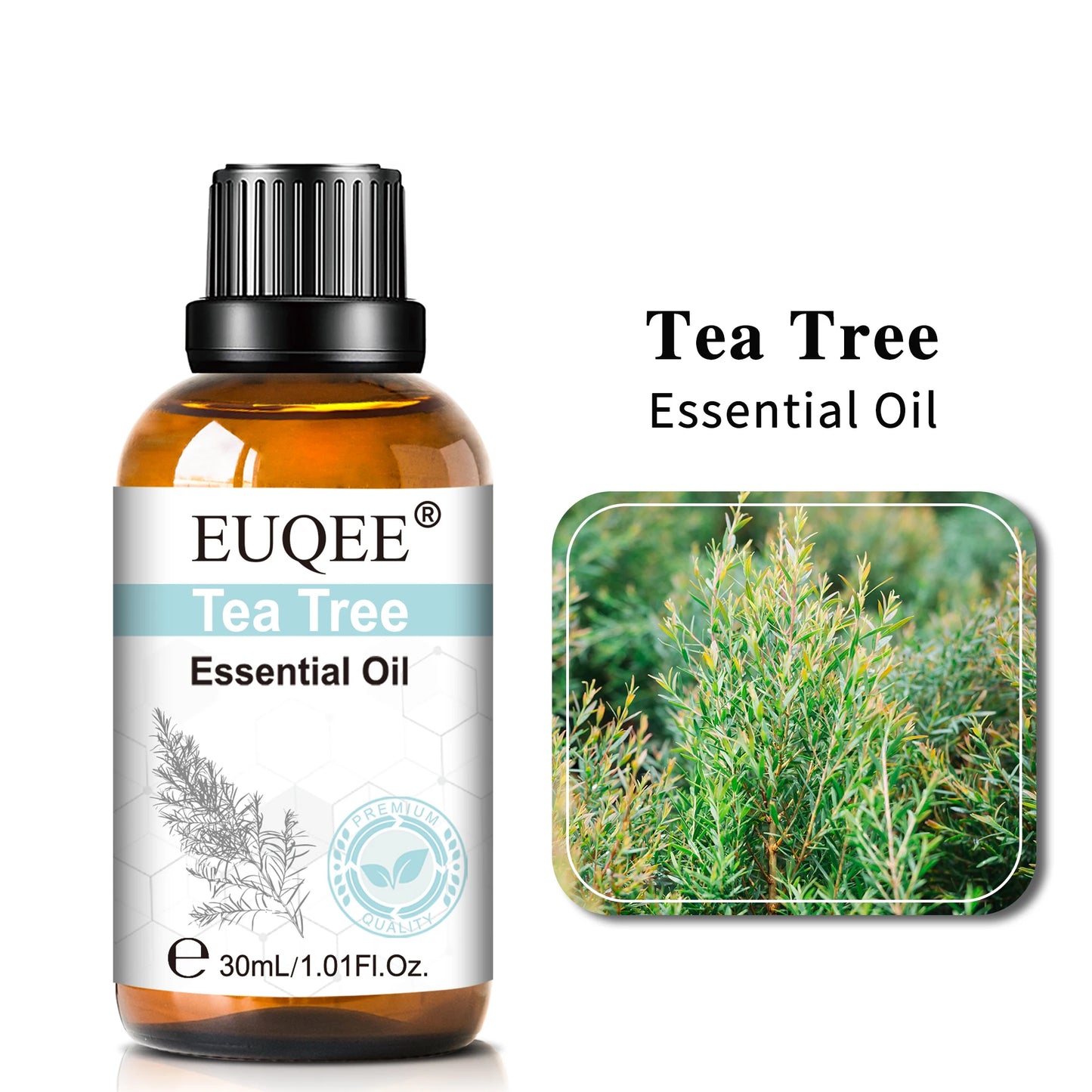 Pure Essential Oil Collection 30ml
