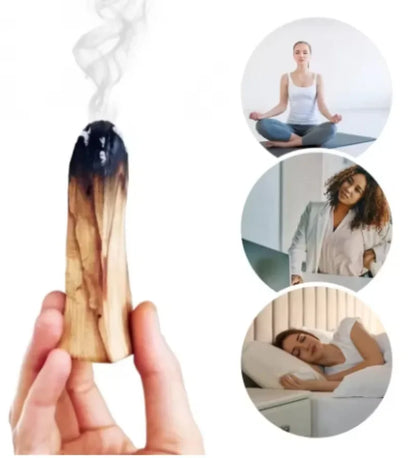 Palo Santo Long-Lasting Incense Sticks