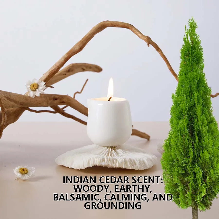 Ceramic Massage Oil Candle Indian Cedar Woody Warm Scented Low Melt Body Massage Candle Warm Oil Skin Nourishing