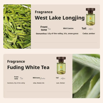 Car Air Freshener Aroma Diffuser, Long-Lasting Fragrance