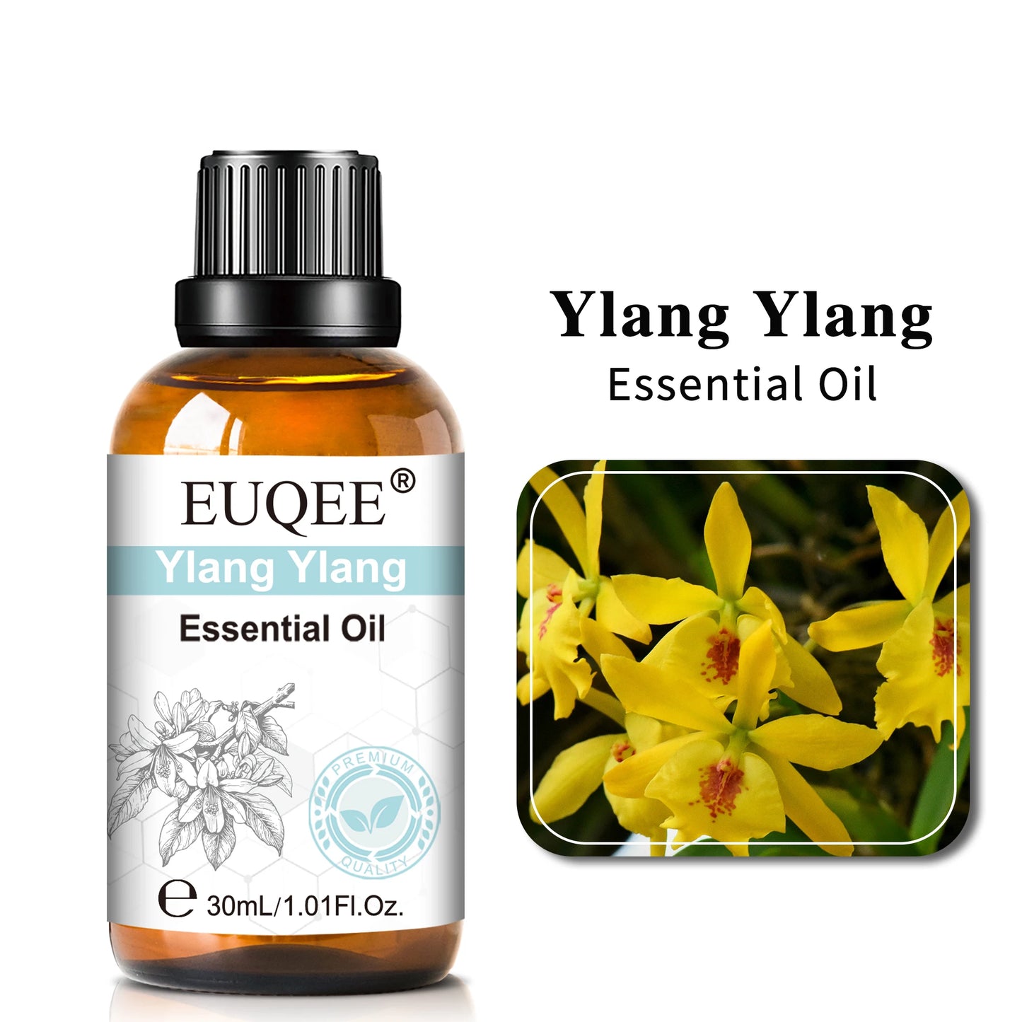 Pure Essential Oil Collection 30ml