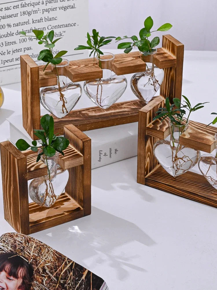 Hydroponic Glass Vase – Transparent Desktop Flower Arrangement