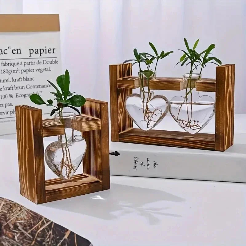 Hydroponic Glass Vase – Transparent Desktop Flower Arrangement