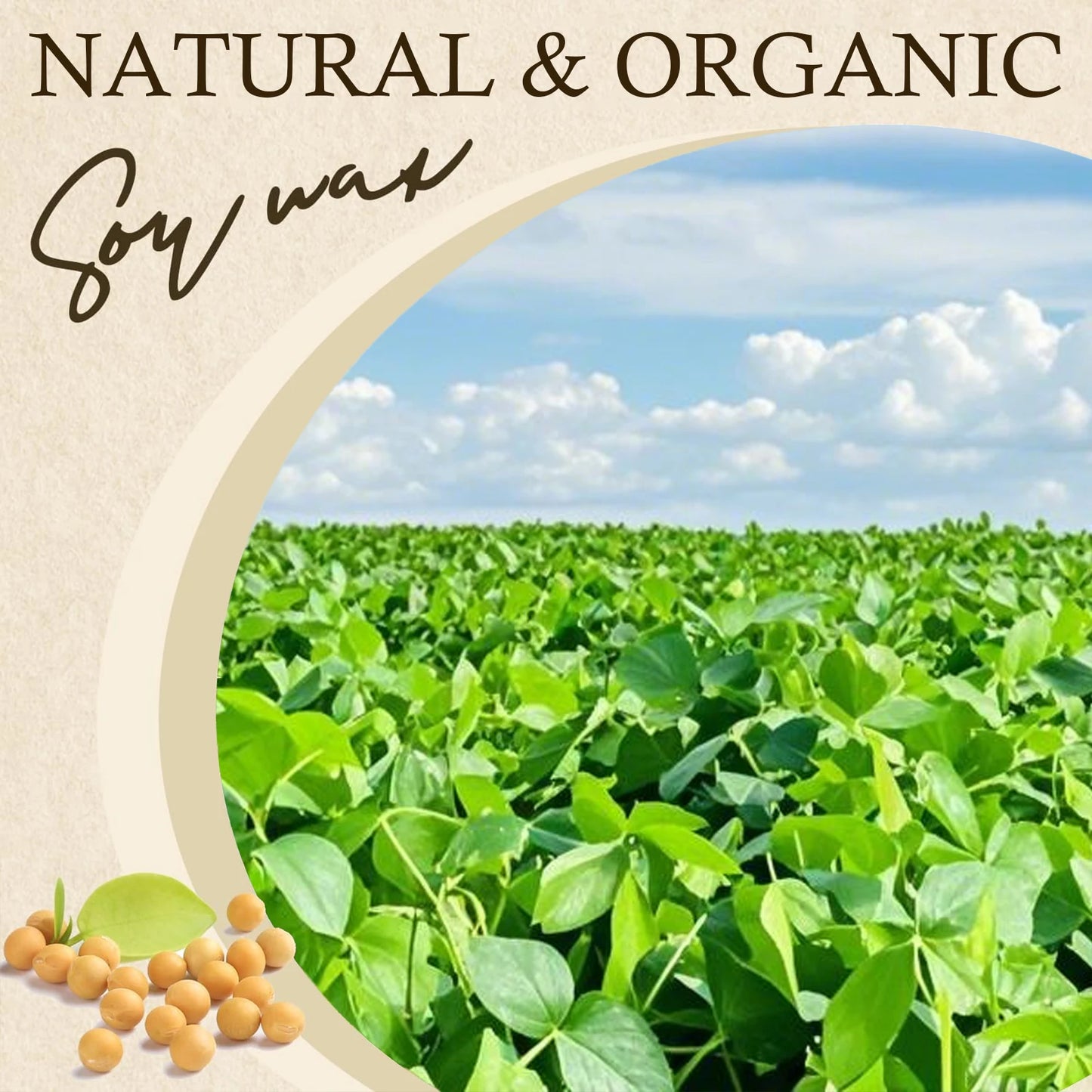 Natural Soy Wax Flakes 100g–1000g — DIY Candle Crafts