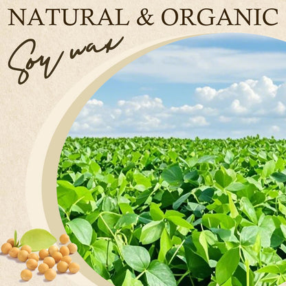 Natural Soy Wax Flakes 100g–1000g — DIY Candle Crafts
