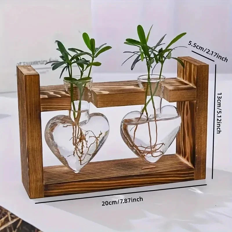 Hydroponic Glass Vase – Transparent Desktop Flower Arrangement