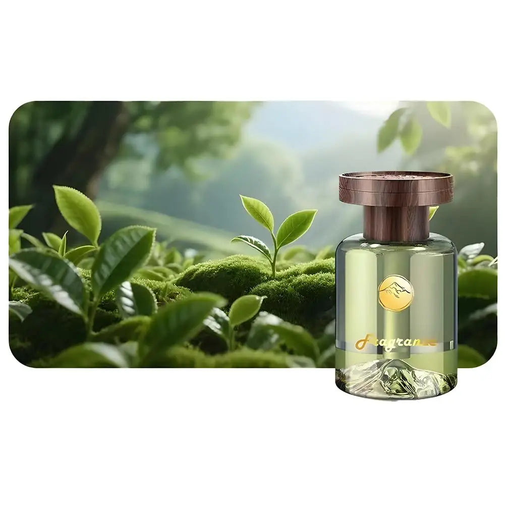 Car Air Freshener Aroma Diffuser, Long-Lasting Fragrance