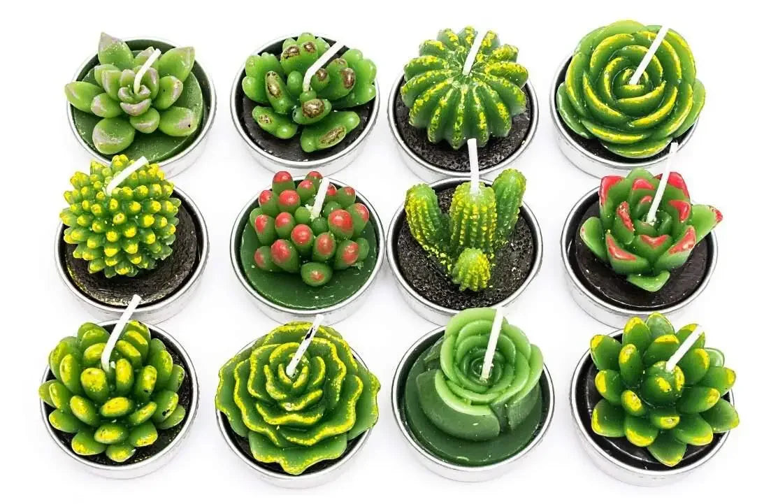12pcs Mini Cactus Candles Succulent Greenery Candles Flameless - Your Ritual Hub 