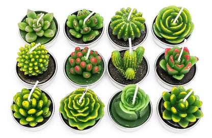 12pcs Mini Cactus Candles Succulent Greenery Candles Flameless