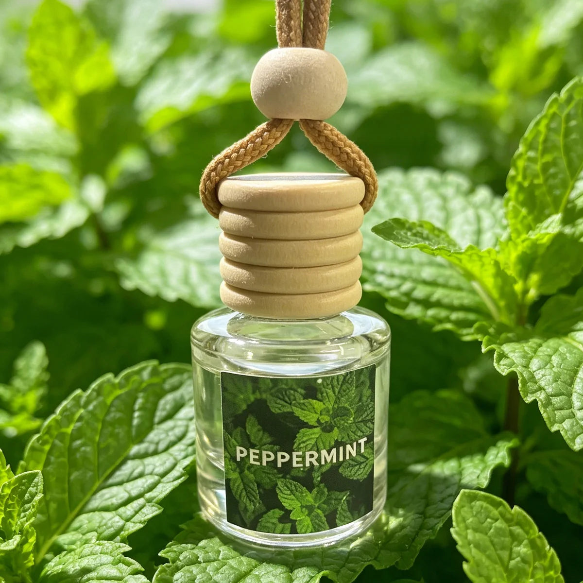 8 ml Car Air Freshener with Botanical-Inspired Scents