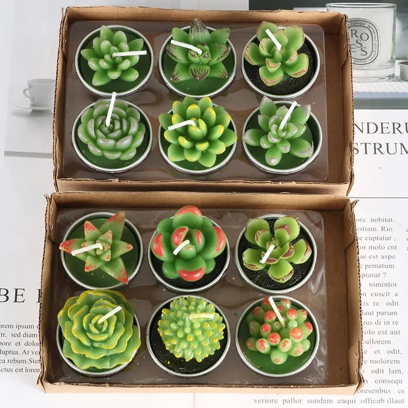 12pcs Mini Cactus Candles Succulent Greenery Candles Flameless - Your Ritual Hub 