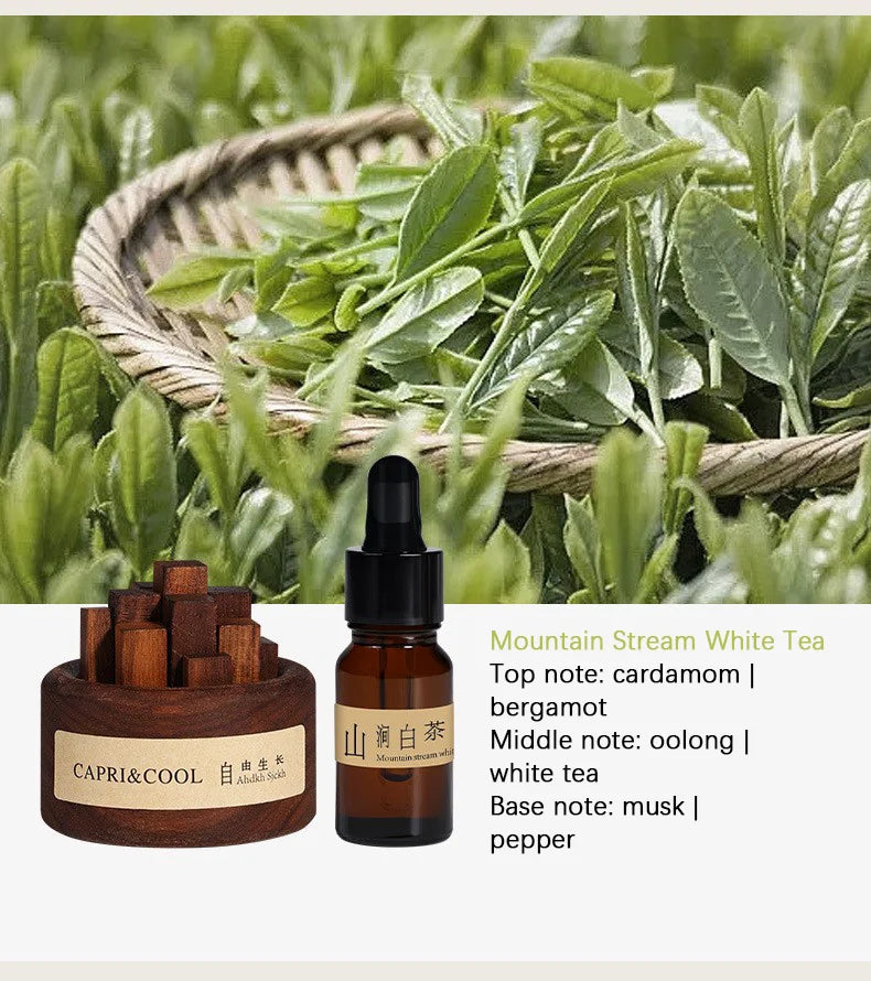 Natural Essential Oil Wood Stick Diffuser - Your Ritual Hub 